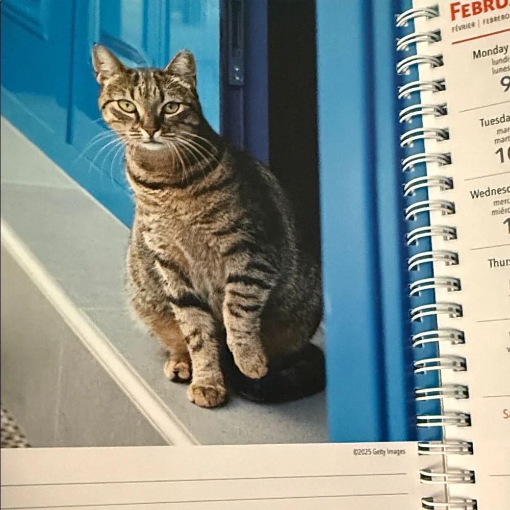 Cat Lovers 2026 Planner BNWT and Mug Set - Blue and White